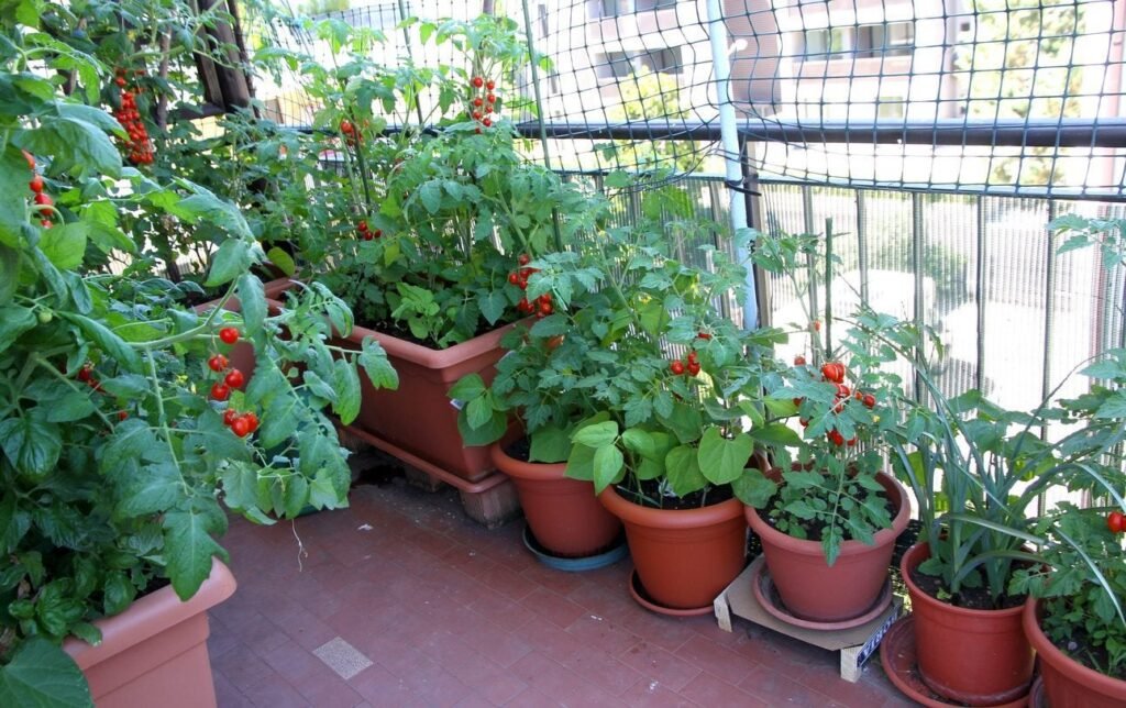10 Ultimate Apartment Garden Guide Starter Tips for Success