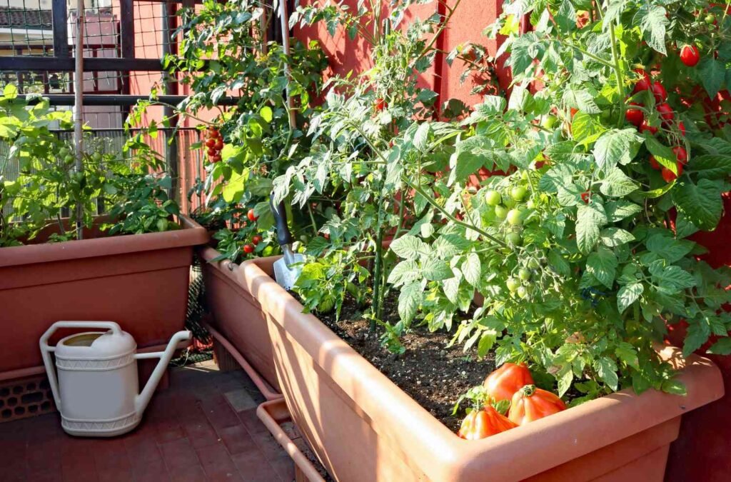 4 Simple Apartment Garden Guide Plans Anyone Can Start Today