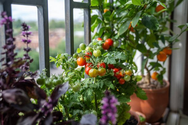 6 Simple Apartment Garden Guide Makeovers That Changed My Balcony