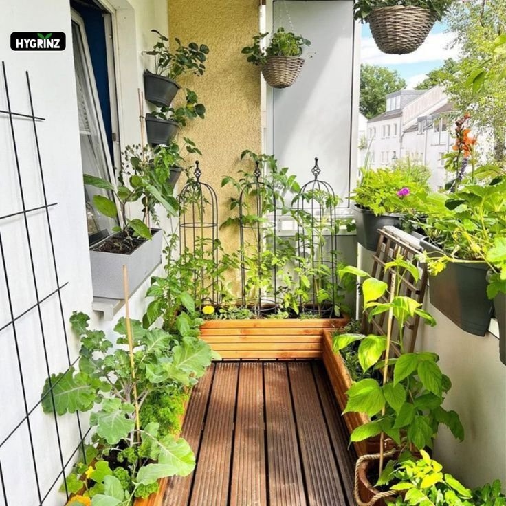 11 Fast Apartment Garden Guide Wins From My First Month
