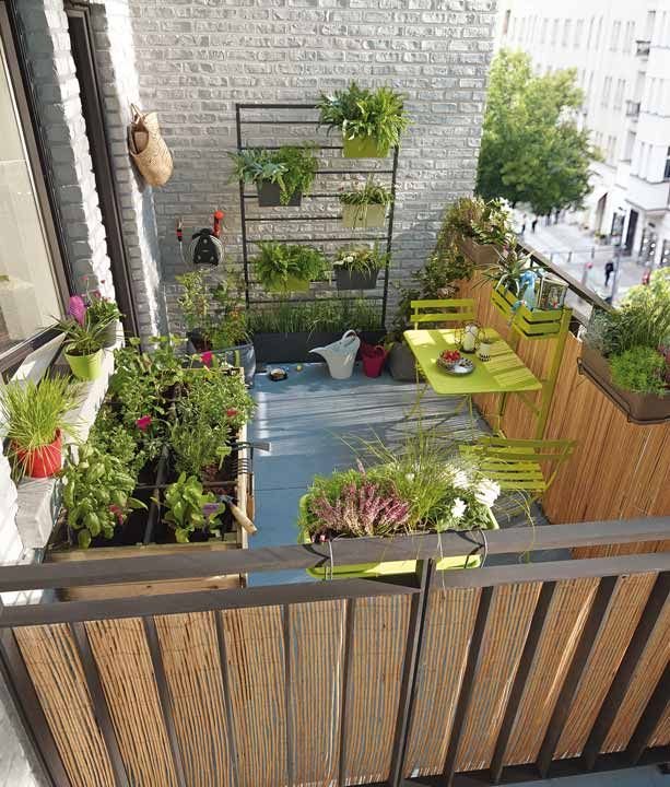 10 Ultimate Apartment Garden Guide Starter Tips for Success