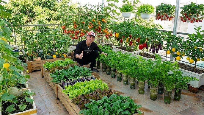 7 Easy Apartment Garden Guide Vertical Gardening Ideas That Save Space