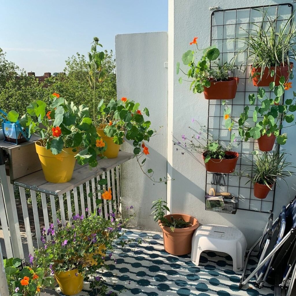 5 Apartment Garden Guide Decor Mistakes That Made My Balcony Look Smaller