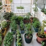 7 Ultimate Apartment Garden Guide Balcony Makeover Tips