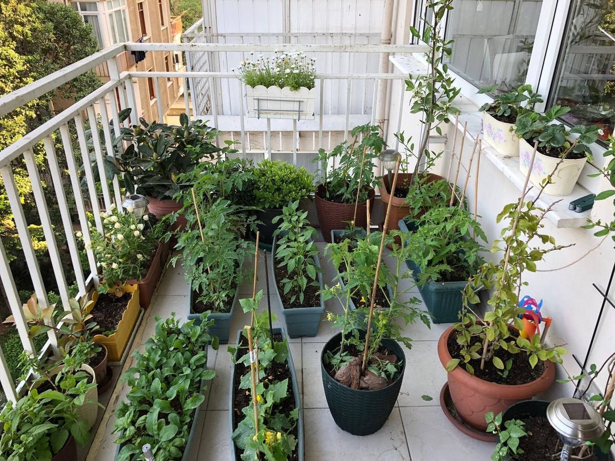7 Ultimate Apartment Garden Guide Balcony Makeover Tips