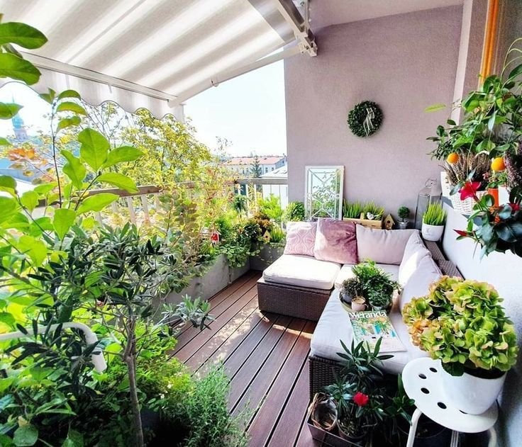 10 Apartment Garden Guide Amazon Finds That Changed My Setup Overnight