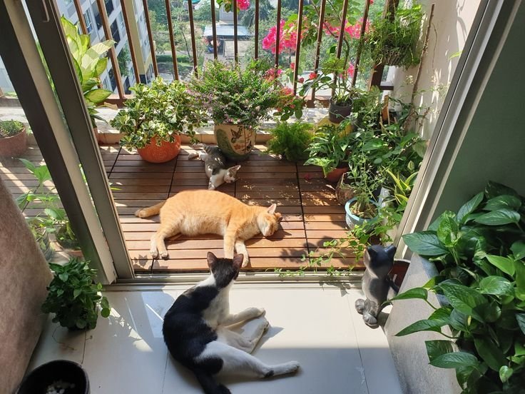 7 Smart Apartment Garden Guide Watering Tricks for Busy People