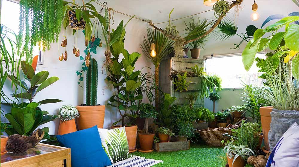 7 Smart Apartment Garden Guide Watering Tricks for Busy People