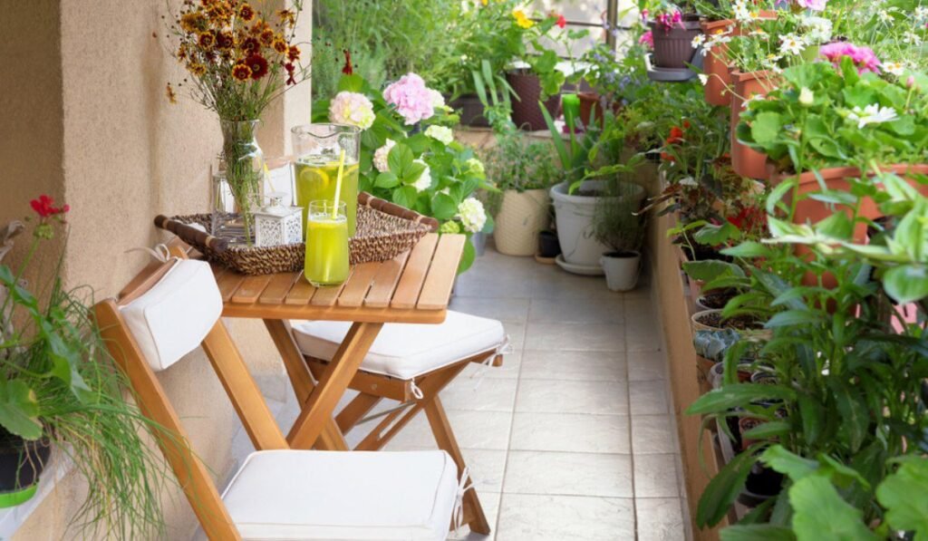 8 Apartment Garden Guide Secrets for Growing More in Small Spaces
