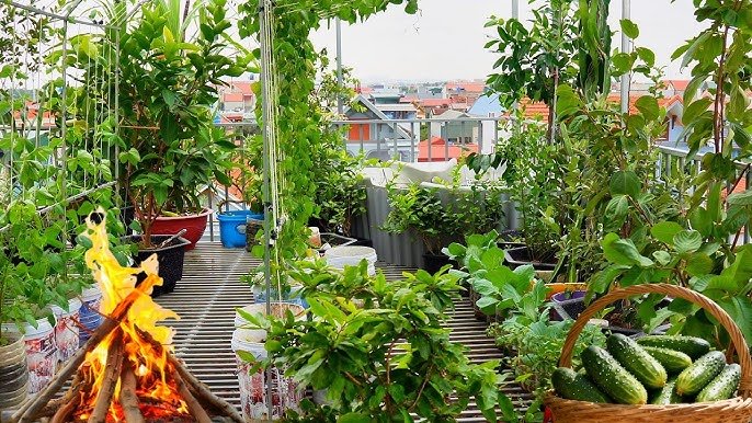 5 Easy Apartment Garden Guide Routines That Keep Plants Alive
